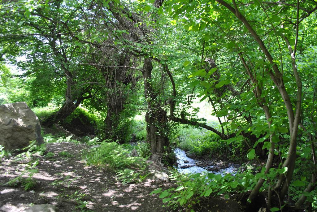 Talistan Forest Park Hotel Luaran gambar