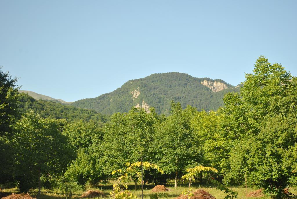 Talistan Forest Park Hotel Luaran gambar