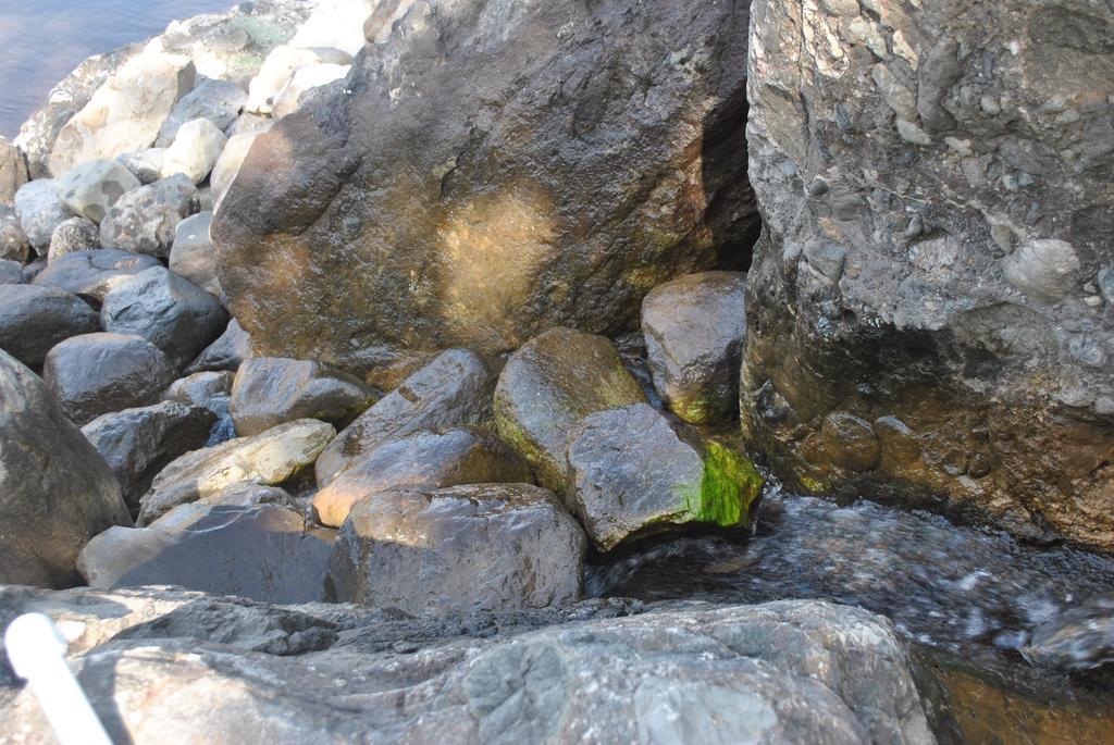 Talistan Forest Park Hotel Luaran gambar