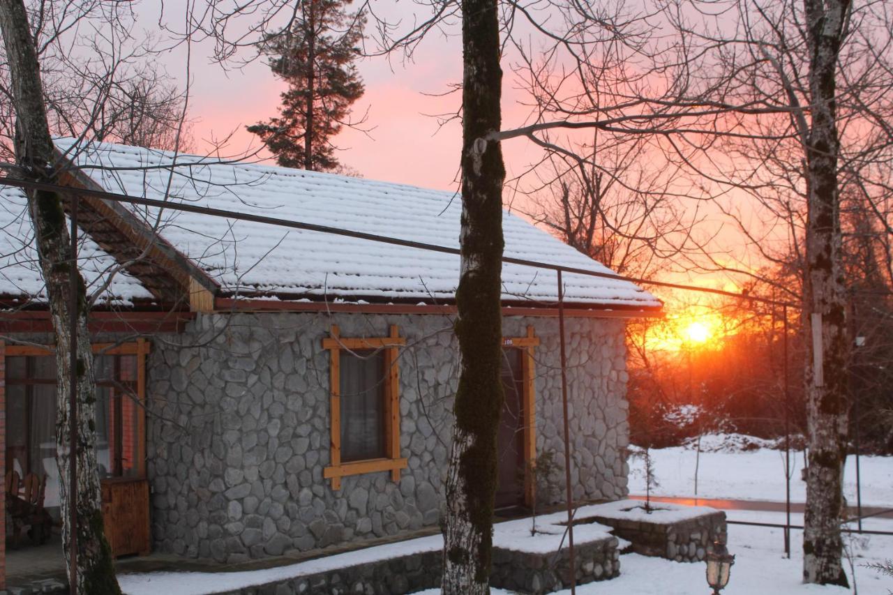 Talistan Forest Park Hotel Luaran gambar