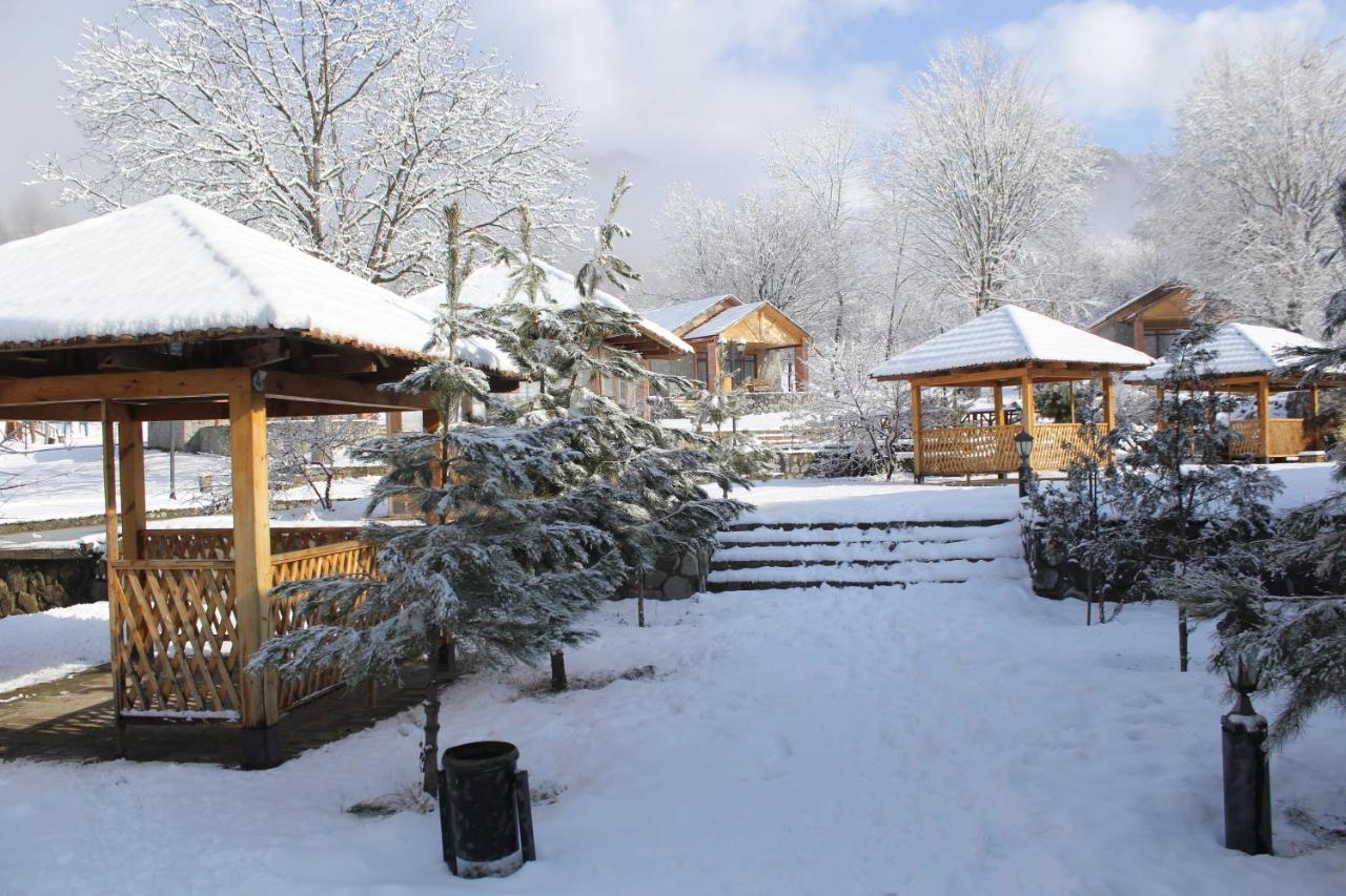 Talistan Forest Park Hotel Luaran gambar