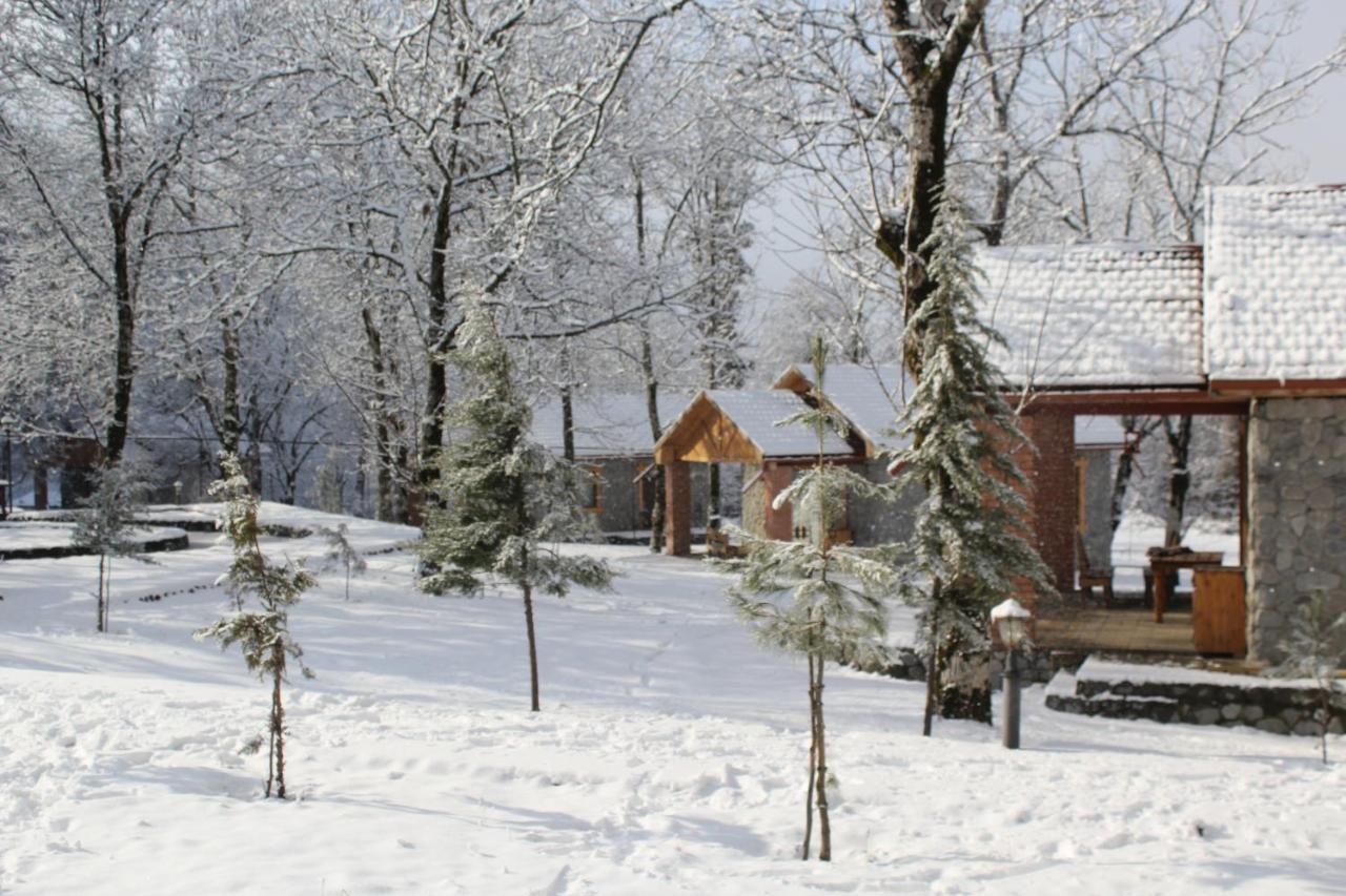 Talistan Forest Park Hotel Luaran gambar